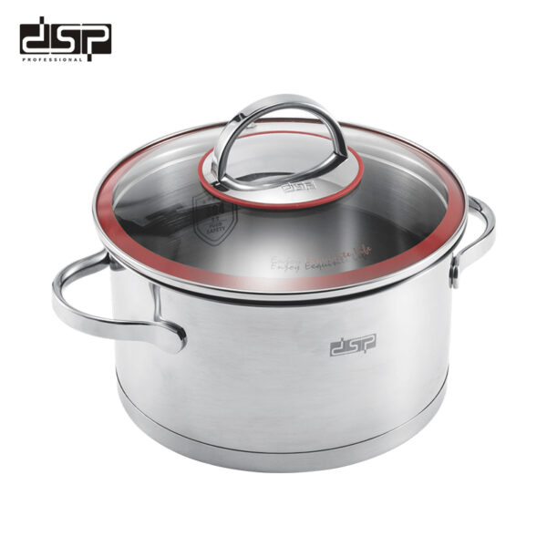 DSP Casserole-CS003-B20